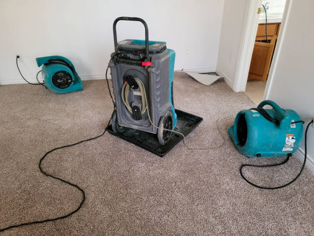 Best Mold removal after water damage  in Mount Pleasant, PA