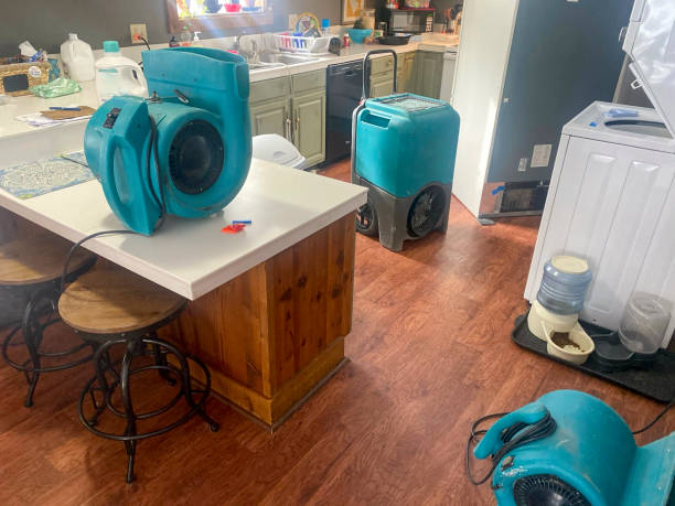 Best Flood damage cleanup  in Mount Pleasant, PA