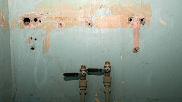 Best Ceiling water damage repair  in Mount Pleasant, PA