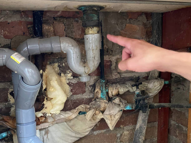 Best Water damage mitigation services  in Mount Pleasant, PA
